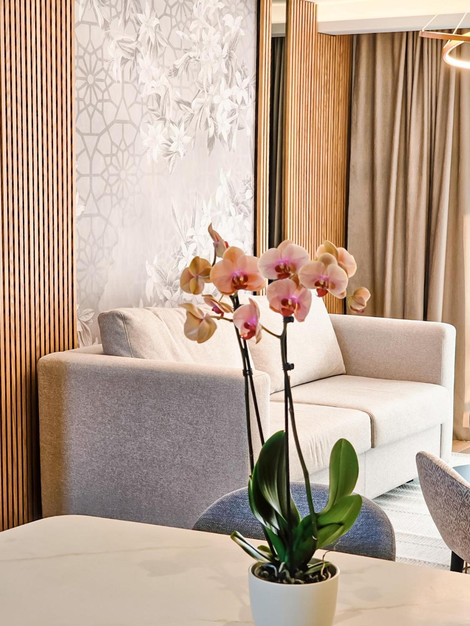 The New Hotel Mediteran - Villa Edition Улцинь Номер фото